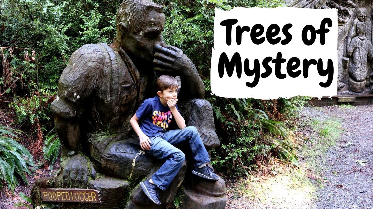 Trees of Mystery in the Northern California Redwoods YouTube