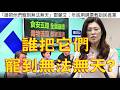 284.【非大閃評】誰把它們寵到無法無天?