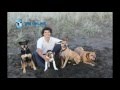 Puppy Potty Training | The Online Dog Trainer Puppy Potty Training | The Online Dog Trainer