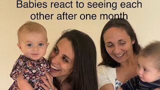 Babies reunite. Extended video. #Babyreaction: They missed each other. #baby@MommyandDaddyMoments