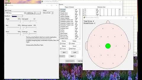 Using MindTrack with NeuroGuide