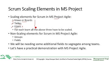 MANAGEMENT YOGI:Practical Scaled Agile (CIPSA) Cert (Lesson 3)-3.17 Scrum Scaling Elements MSP Agile