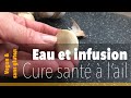 Cure deau  lail  infusion dail et citron  sant  ail frais  ail lactoferment  ail noir