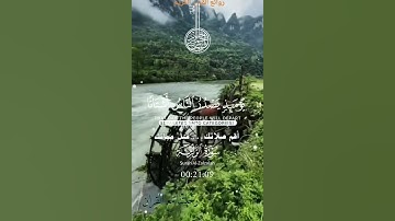 تلاوة خاشعة عطرة مباركة جميلة عذبة للشيخ سعد الغامدي سورة الزلزلة