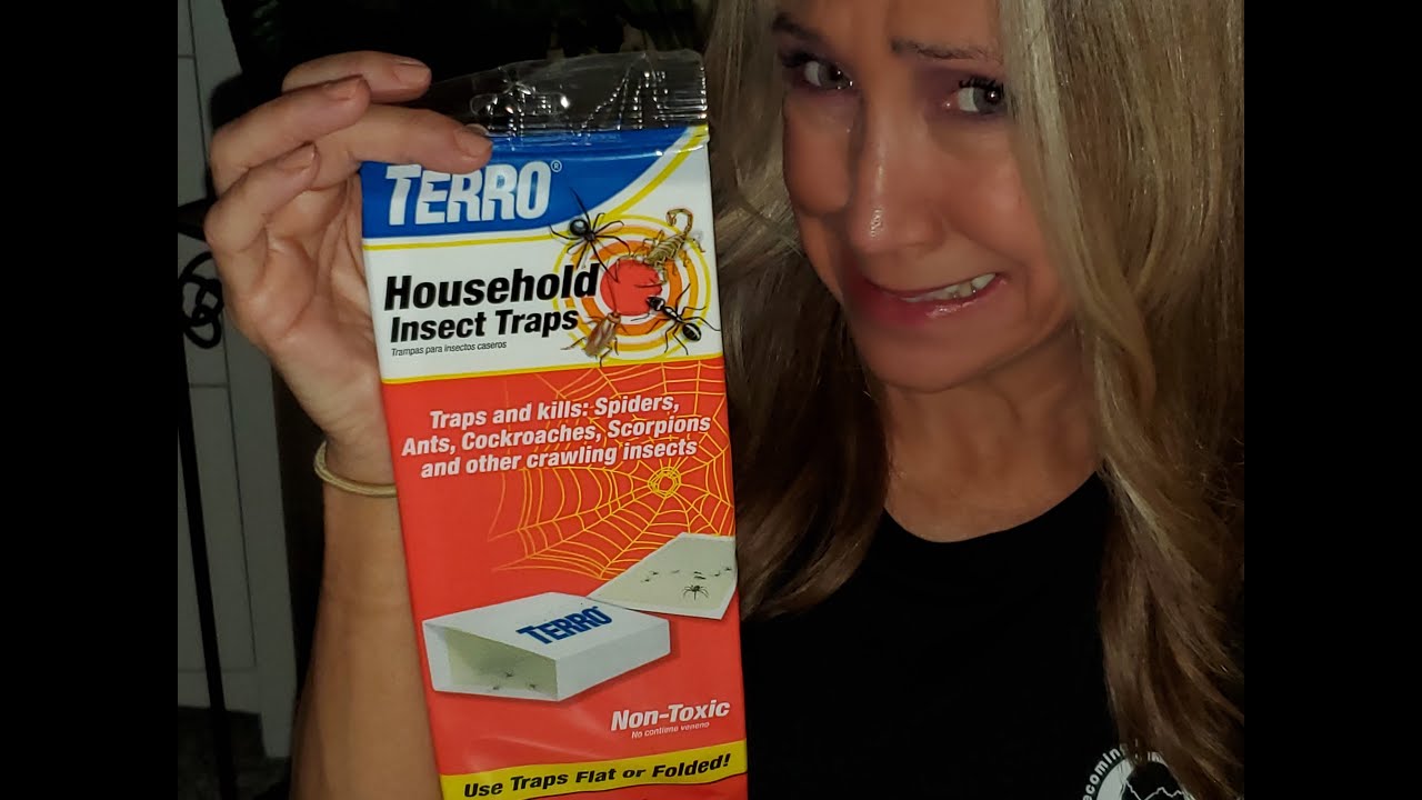 Terro Insect Traps | These Work! | KimTownselYouTube