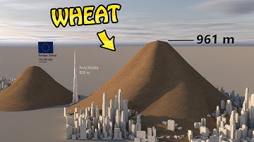 How much WHEAT is Produced Worldwide Annually - data visualization