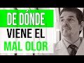 MAL OLOR CORPORAL: La causa real y qué puedo hacer