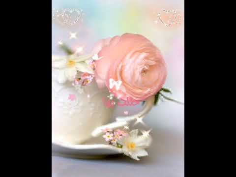 صباح الخير أجمل حالات واتس اب مقاطع انستجرام ازرع ورودك في دار حللت بها حتى يشم عبير الورد من زارا