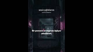 Sessiz Çığlıklarım
