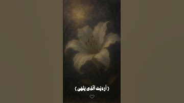 آيات من سورة العلق | المنشاوي 💗 #القرآن_الكريم #المصحف #لايك #تلاوة_خاشعة