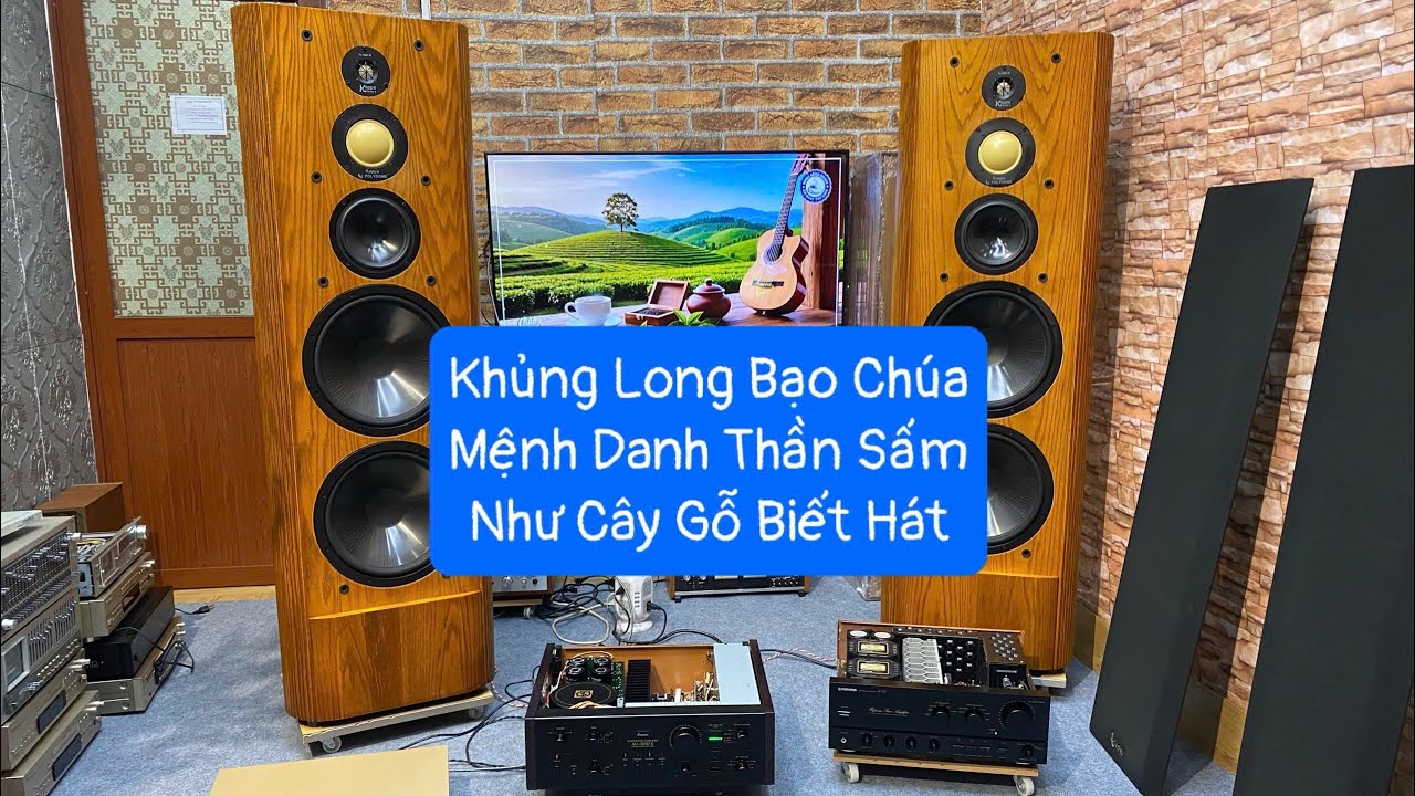 Ngày 15/1 ! Amplifier Công Xuất Lớn 8 Sò 320W Và Cây Gỗ Biết Hát Nặng Hơn 100KG 1 Cặp 