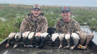 We Finally Shot our LIMIT! // FAST Action LOUISIANA Duck Hunting