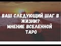 ВАЖНО: КАКОЙ ВАШ СЛЕДУЮЩИЙ ШАГ В ЖИЗНИ? БЛИЖАЙШЕЕ БУДУЩЕЕ. ТАРО