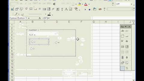 Microsoft Excel - Multiple Choice Question