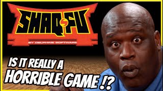 The Mad History of SHAQ FU - IS IT REALLY A HORRIBLE GAME?
