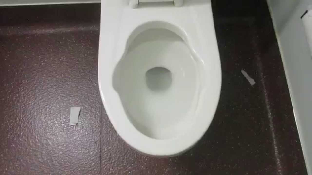 1983 American Standard Afwall toilet with Bedpan Lugs YouTube