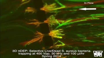 Biomicrofluidics : Three dimensional passivated-electrode insulator-based dielectrophoresis