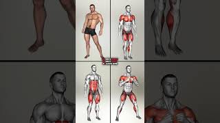 Full body exercises Homework 💯✅💫#youtube #shorts #exercise #videos #gym #video #fitness #viralreels