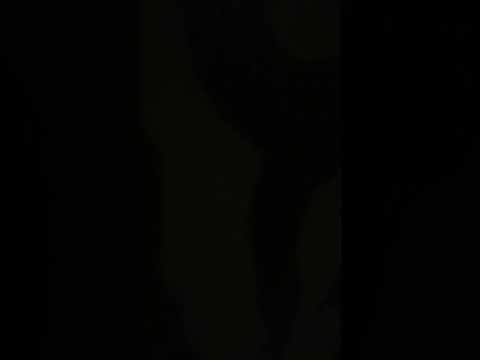 ٢٩ تشرين الأول ٢٠٢٢