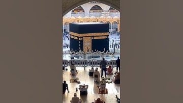 سورة الاحقاف - إن الذين قالوا ربنا الله ثم استقاموا فلا خوف عليهم ولا هم يحزنون