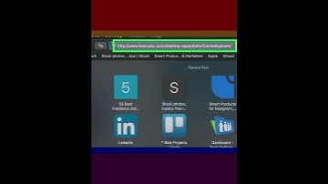 How to View List of Stored Cache Data on Safari