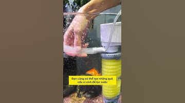 Bể Cá Luôn Sạch Với Bộ Lọc Đa Năng Siêu Yên Tĩnh! #bolocdanang #dammethuysinh #aquarium #fish #fyp