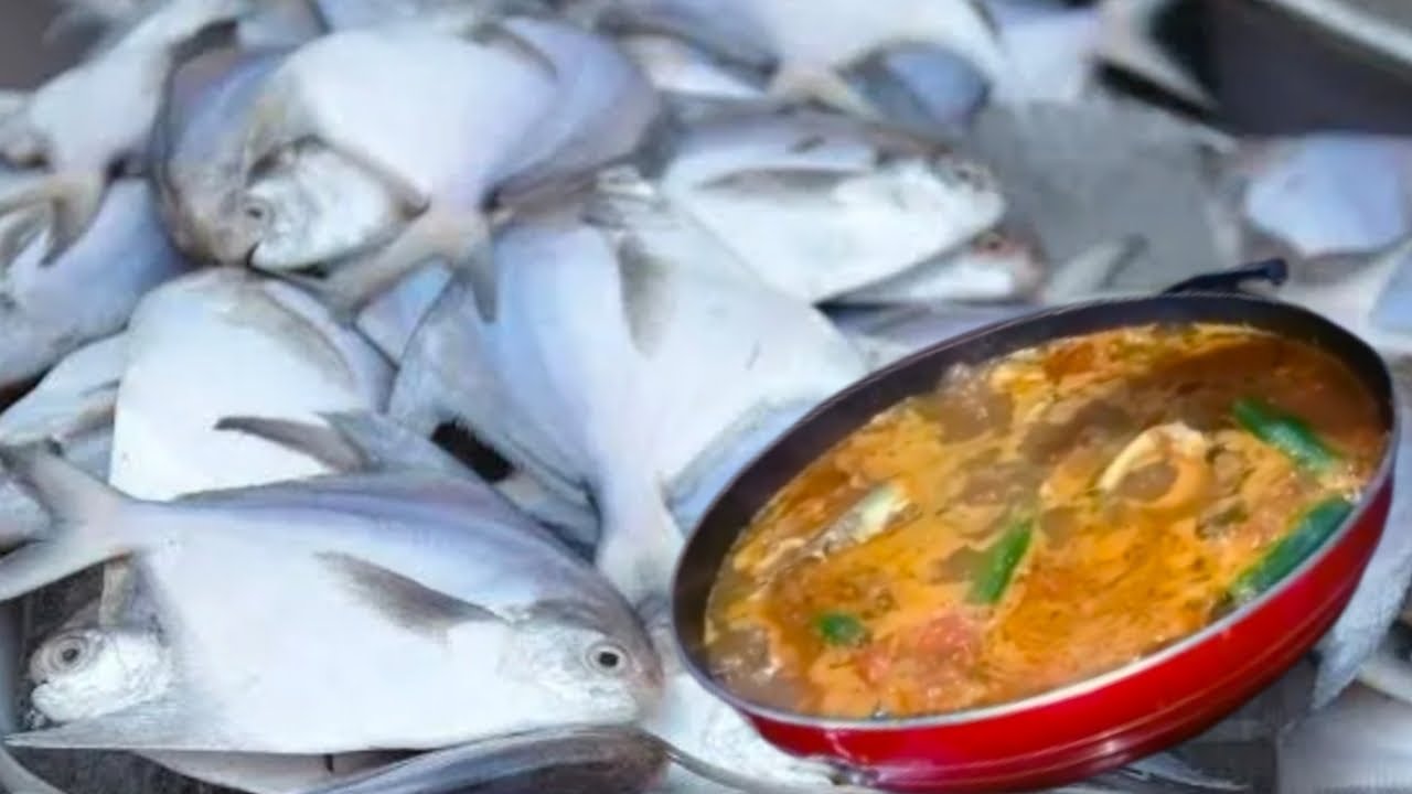 RED POMFRET FISH/ஏரி வாவல் மீன் குழம்பு YouTube
