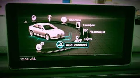 Audi Connect & Google Earth & Traffic Online