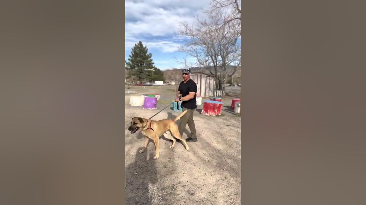 Cradle Technique Video 3 of 4 YouTube