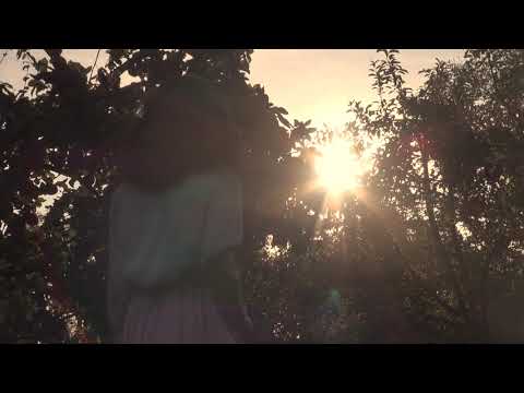 \"ვაშლის ბაღები\"- ნინო ჟიჟიაშვილი