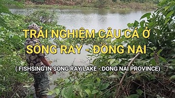 TRẢI NGHIỆM CÂU CÁ Ở SÔNG RAY - ĐỒNG NAI ( FISHSING IN SONG RAY LAKE - DONG NAI PROVINCE)1