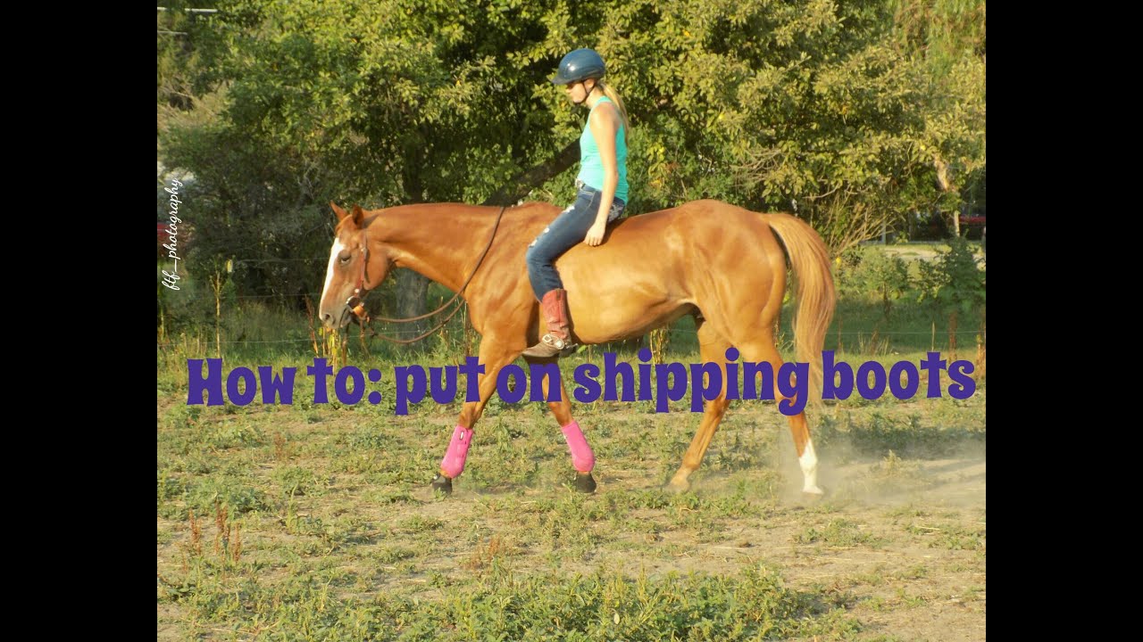 ◇How To: Put On Shipping Boots◇