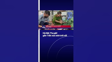 1 tấn là bao nhiêu suất? | VTVIndex