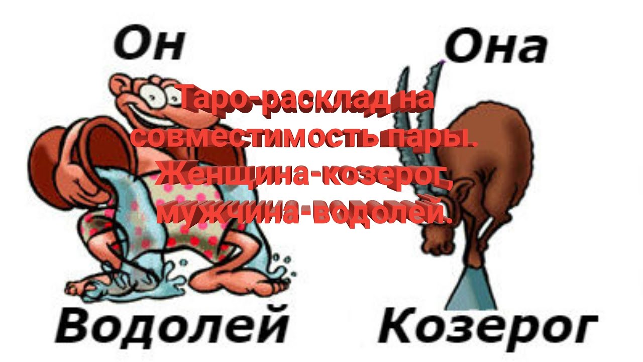 Девушка водолей мужчина козерог