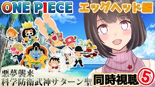 ONE PIECE 同時視聴