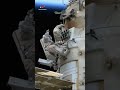 #Выходвкосмос 18 апреля 2022 /#spacewalk April 18, 2022/ #мкс #iss #космос #space #shorts