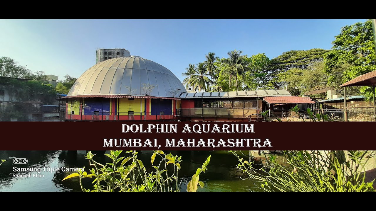 Dolphin Aquarium l Mumbai l 2023