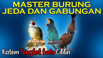 Master Jeda dan Gabungan | kapas tembak, tengkek buto, cililin