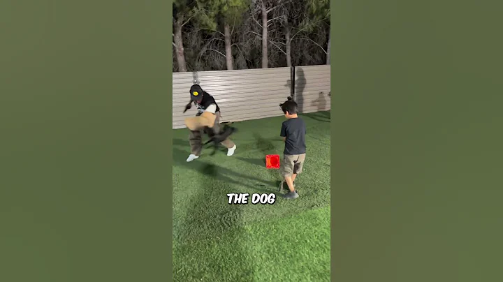 When Training Goes Too Far (@dr_moejuice_thedecoy - on IG) #shorts