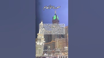 سورة الأنعام ٣١ #قرآن #قران #quran #اكسبلور #قرأن #قرآن_كريم #قران_كريم