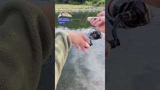 【AREA TROUT Fishing】Puppet Surface ♯FO brown berry （SMITH）2023 10 7   HD 1080p