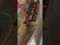 Preventable electrocution #automobile #bmw #funny #cars