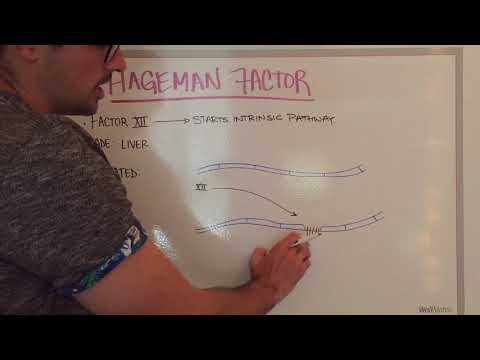 Hageman Factor: Easily