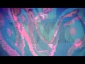 Miniature de la vidéo de la chanson Rebirth