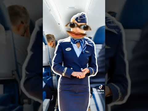 Video: Chuyến bay AA của tôi có WIFI không?