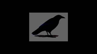 Tomasheg - Szept Prod. Imotape Productions