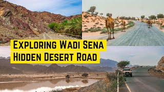 Exploring Wadi Sena & Hidden Desert Road