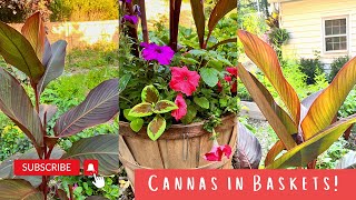 PLANTING CANNA LILIES IN BUSHEL BASKETS | GARDEN ZONE 5B