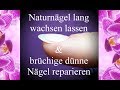 Naturnägel lang wachsen lassen & brüchige dünne Nägel reparieren