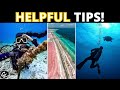 What to know about BONAIRE SCUBA DIVING!
